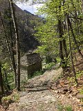 IMG_7851