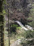 IMG_7856