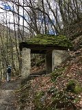 IMG_7864