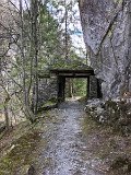 IMG_7871