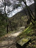 IMG_7874