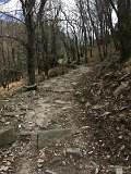 IMG_7876