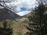 IMG_7881