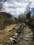 IMG_7882
