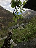 IMG_7887