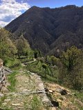 Via delle Vose
