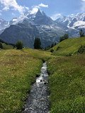IMG_6106