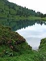 DSCF2593b