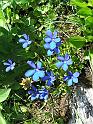 DSCF2885b