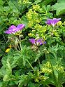 DSCF2581b