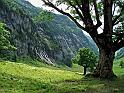 DSCF2617b