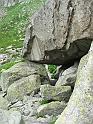DSCF2796