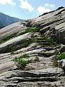DSCF2854b