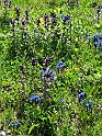 DSCF2887b