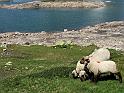 DSCF2898b