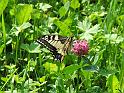 DSCF2686b