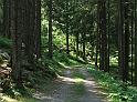 DSCF2688b