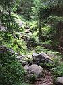 DSCF2698b