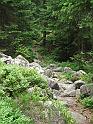 DSCF2700b