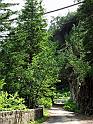 DSCF2714b