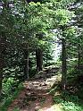 DSCF2718b