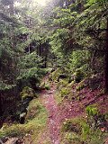 IMG_4815
