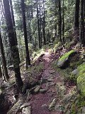 IMG_4819