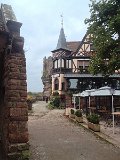 IMG_4729