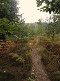 IMG_4739