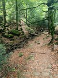 IMG_4750