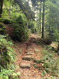 IMG_4753