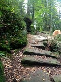 IMG_4755