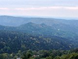 IMG_4768
