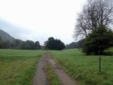 IMG_4612