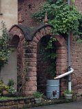 IMG_4614