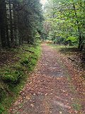 IMG_4623