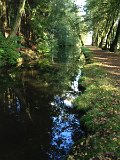 IMG_4645