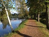 IMG_4649