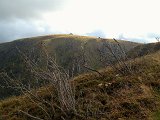IMG_2256