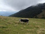 IMG_2323