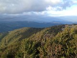 IMG_2361