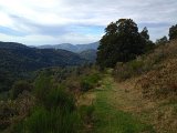 IMG_2379