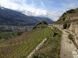 IMG_1086