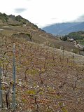 IMG_1052