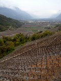 IMG_1066