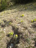 IMG_1106