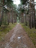 IMG_1138