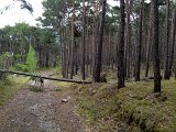 IMG_1139