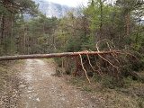 IMG_1141