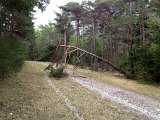 IMG_1142